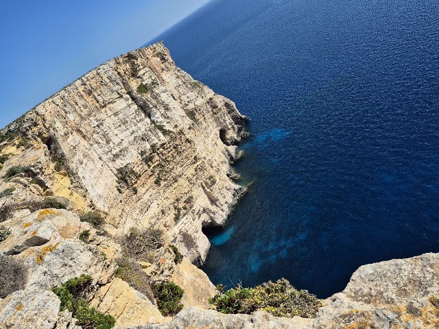 Panoramic View