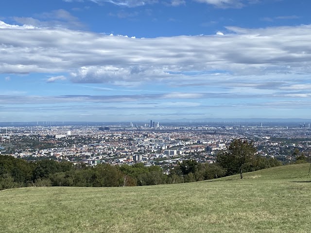 Wienerblick