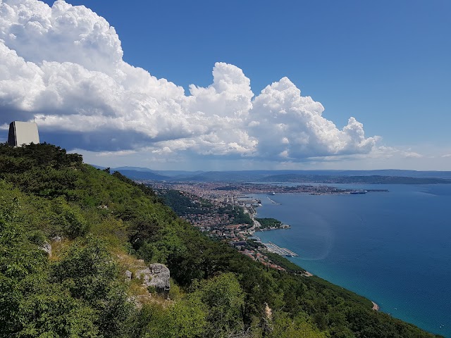 Vedetta Italia