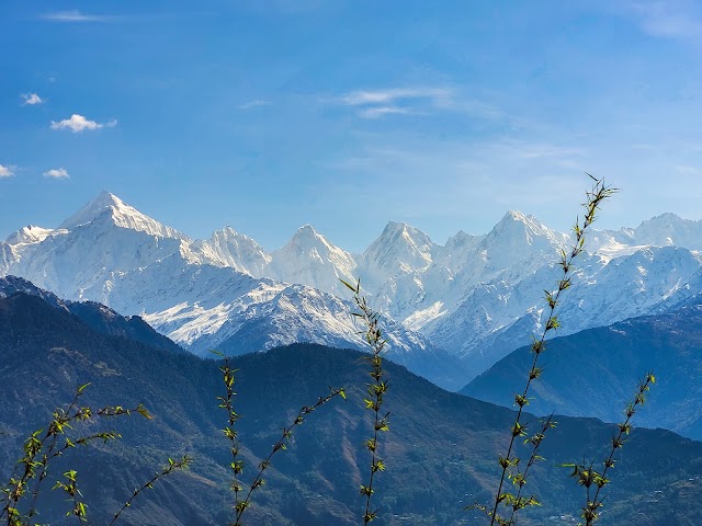 Munsiyari Uttarakhand