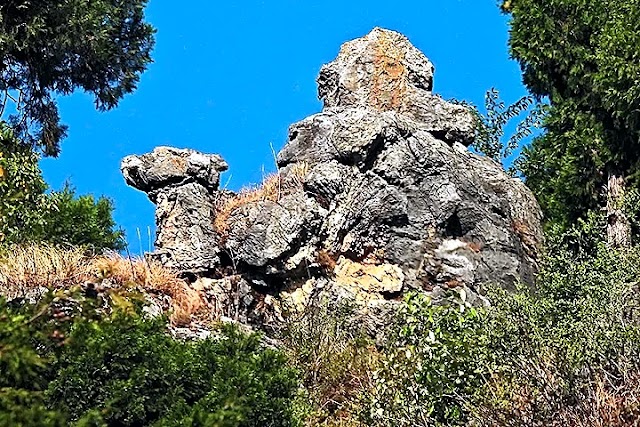 Camel Rock View