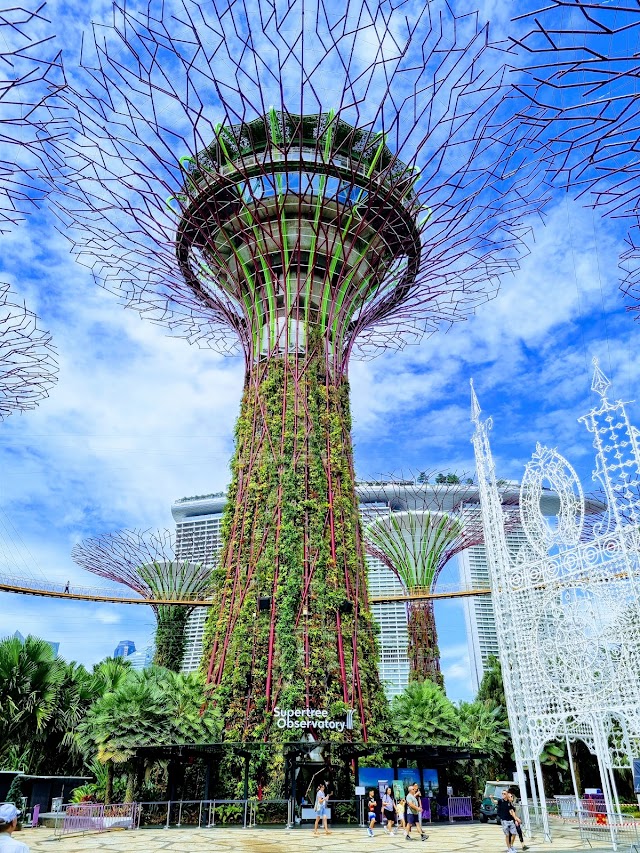 A creator-curated trip through Singapore